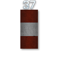 Chief Warrant Officer