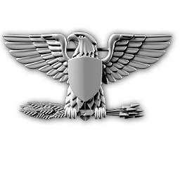 Colonel