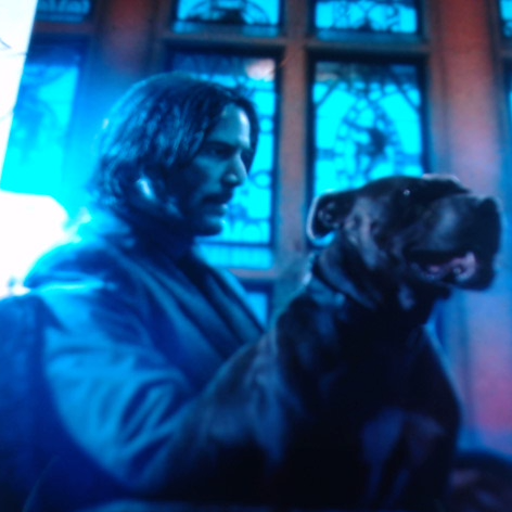 JohnWick222